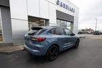 2025 Ford Escape ST-Line Elite